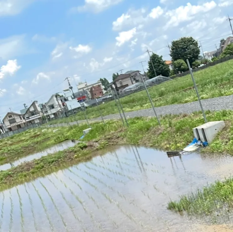 学部紹介（東京大学農学部農業資源経済学専修編）
