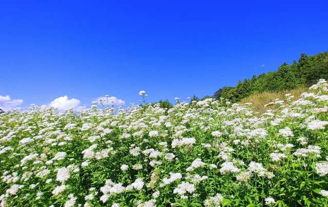 現代で幸せに生きる方法を「ユートピア」から考える